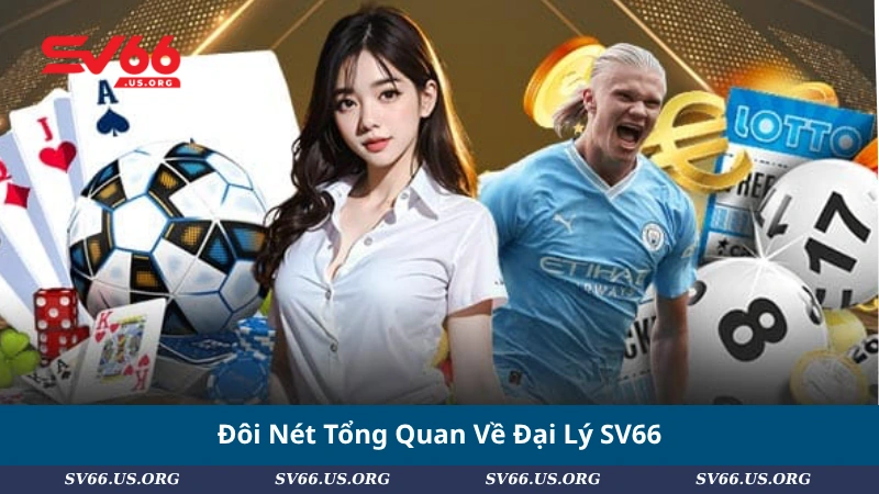Đôi Nét Tổng Quan Về Đại Lý SV66