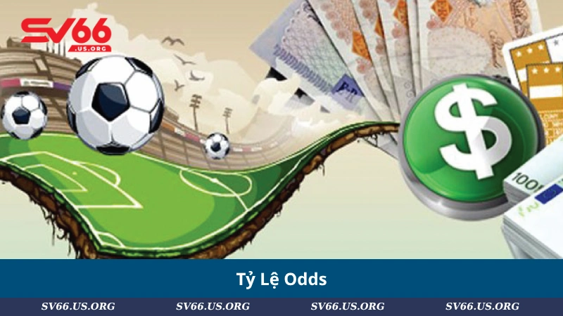 Tỷ Lệ Odds